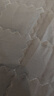 北鼎（Buydeem） 泡茶杯办公室家用茶具玻璃杯子带把茶水分离杯高硼硅玻璃 Say tea玻璃杯350ml 实拍图
