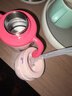 babycare儿童保温杯婴儿宝宝吸管水杯霸王龙不锈钢保温杯300ml-新旧款混发 实拍图