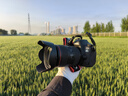 佳能（Canon）6D2 专业全画幅单反相机 4K延时短片 高清人像6D二代 佳能复古数码相机  佳能6d2 24-105套机 实拍图