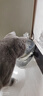 【京东物流】猫咪饮水机流动循环宠物喂水神器水碗水盆家用狗狗 全透明-1500ml+过滤棉1片 实拍图