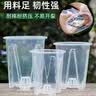 德沃多控根透明花盆14口径*6个园艺绿植盆栽种植盆花卉种菜盆多肉塑料盆 实拍图
