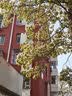 361°儿童运动鞋男女童跑鞋春夏大网孔透气魔术贴跑鞋防滑软底跑步鞋 【夏季网孔】碳黑/甜心粉色 36 实拍图