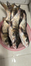 天元邓刚浮钓鲢鳙450g大头鱼饵料鲢鳙鱼饵钓鱼饵料 天元邓刚浮钓鲢鳙  3包 实拍图