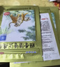 羚锐 壮骨麝香止痛膏10贴*6袋 祛风湿 活血止痛 用于风湿关节 肌肉痛 扭伤 膏药贴 实拍图