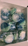 兔力洁厕宝50g*20块 青柠香味 马桶清洁剂洁厕灵蓝泡泡自动清洁去异味 实拍图