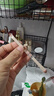 欧亿姿（oeiez）化妆刷套装小巧便携亲肤柔软不扎脸双头刷眼影刷遮瑕刷翻盖套装刷 实拍图