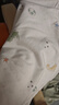 乖奇熊婴儿短袖短裤分体套装夏季薄款宝宝纯棉居家衣服裤子两件套儿童T 实拍图