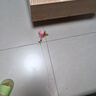 憨憨乐园猫玩具逗猫棒幼小猫猫咪磨牙玩耍耐咬互动自嗨玩具神器宠物用品 实拍图