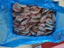 禧美海产加拿大北极甜虾净重3斤/盒 90/120规格 熟冻  MSC认证 轻食海鲜 实拍图