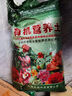 思威博营养土种菜土花土通用型有机种花养花土壤种植土泥土绿植盆栽泥炭 40斤有机营养土【混羊粪有机肥】 实拍图