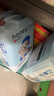 HONEYCARE好命家宠物尿垫猫狗尿片 训导防漏尿布 加厚狗狗厕所垫M码45*60cm 实拍图