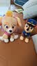 汪汪队立大功（PAW PATROL）毛绒玩具狗狗陪睡玩偶经典款阿奇站姿公仔男女孩六一儿童节礼物 实拍图