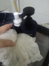 KOOGIS魅蓝沐浴露蔚蓝持久留香72小时香体套装可搭洗发水男士专用三合一 实拍图