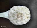 Imakara洗澡刷软毛沐浴刷搓背刷懒人洗澡神器刷子后背长柄纳米绒身体浴刷 实拍图