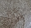 素养生活有机白芝麻400g 生白芝麻 芝麻  生芝麻 烘焙辅料 五谷杂粮 粗粮 实拍图