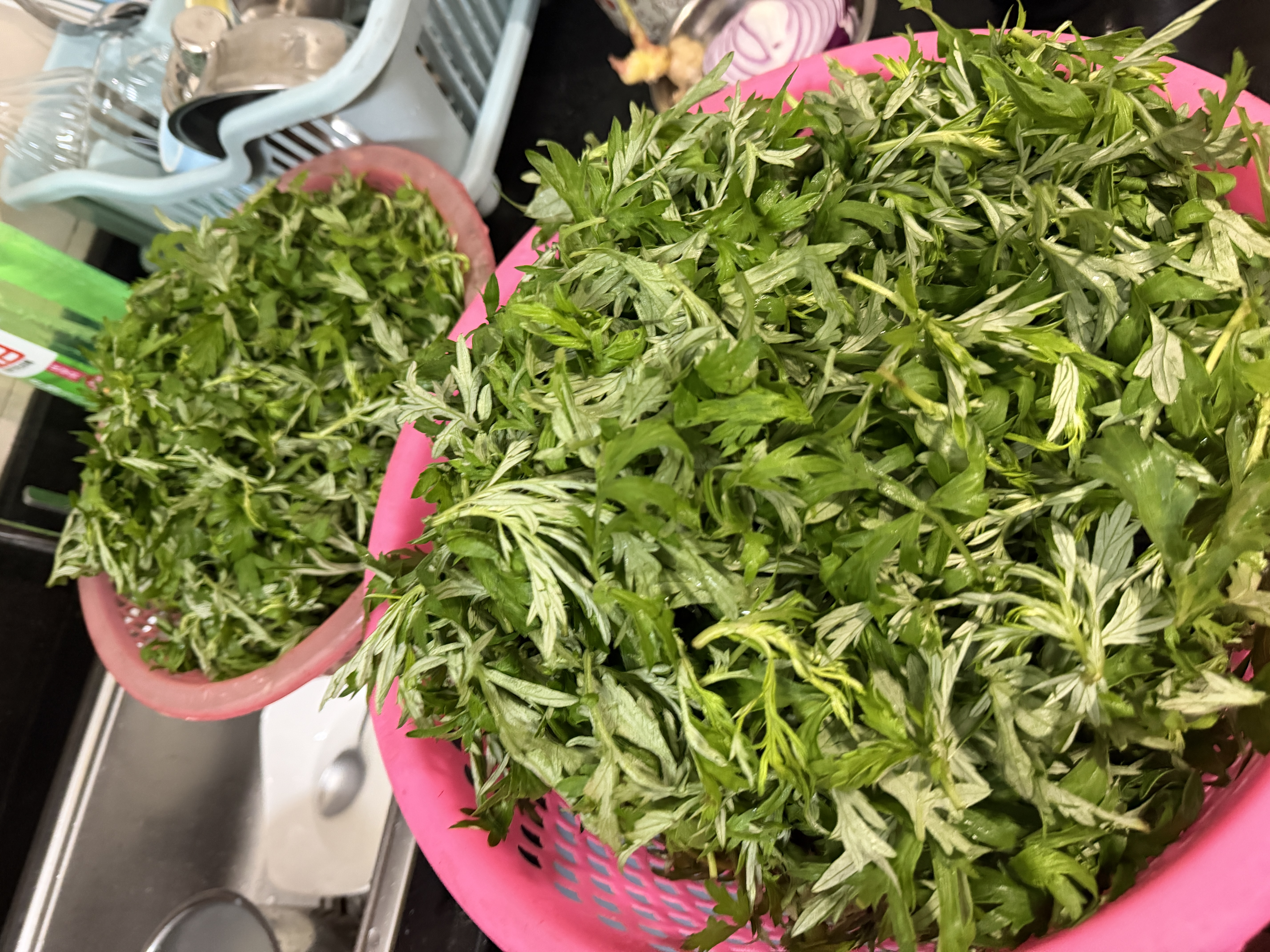 艾草新鲜食用蔬菜现摘清明草粑粑青团3斤顺丰艾叶新鲜艾草叶 【顺丰快递】 2500g 实拍图