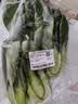 上海青约500g(油菜) 实拍图