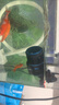森森（SUNSUN）造浪泵鱼缸水族箱冲浪泵耀蓝造流吹粪便吹鱼便 吸盘款3W 流量调节 适合60cm以下鱼缸 实拍图