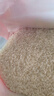 十月稻田 当季新米 特等五常大米 绿色食品 10斤(溯源 原粮稻花香2号 5kg) 实拍图