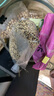 沐谷三色藜麦米1.3斤 黎麦米轻食白藜麦红藜麦黑藜麦均衡混合发芽杂粮 实拍图