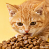 素力高（SolidGold）猫粮低脂高蛋白全价鲜鸡肉高效燃脂猫粮1.5kg 实拍图