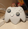 飞智冰原狼4多模版无线游戏手柄 类xbox 力调节摇杆双切扳机 switch电脑PC手机steam体感NS 仁王3 实拍图