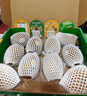 佳沛（zespri）新西兰阳光金奇异果10粒巨大果单果146-175g 猕猴桃水果礼盒 实拍图