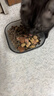 亿迪 冻干猫粮幼猫成猫全阶段布偶蓝猫布偶小包装5斤装 实拍图
