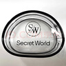 秘密世界（SecretWorld）胸贴收纳盒赠品 黑色  均码 实拍图