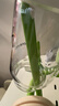 多啦贝啦(Dora bela)玻璃储奶瓶婴儿奶瓶母乳保鲜存宽口奶瓶2个装6017 实拍图