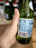 圣培露（S.PELLECRINO）意大利含气天然矿泉水气泡水 饮用水 250ml*24瓶 实拍图