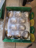 佳沛（zespri）新西兰 阳光金奇异果12粒特大果单果124-146g 猕猴桃水果礼盒 实拍图