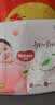 好奇（Huggies）铂金装小桃裤纸尿裤NB84片(5kg以下)尿不湿【透爽散热】 实拍图