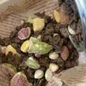 卡卡业即食烘焙燕麦片坚果早餐上班族健身饱腹代餐摩卡咖啡500g/罐 实拍图