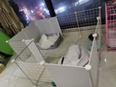 蔻丝狗围栏狗笼带厕所区一室一卫狗狗围栏家用宠物围栏带门狗栅栏 实拍图