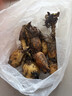 荷花盆栽莲花藕苗四季观赏荷花藕种水培植物池塘花卉睡莲莲藕苗种 混色5棵(带芽发货) 送肥料 实拍图