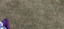 华为原装充电器超级快充p50 40 mate40 30 20nova12 11 10 9 8 7 6pro畅享70 60X荣耀X50 畅玩手机平板 10V2.25A输出 充电器+Type-C数据线 实拍图