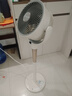 艾美特（AIRMATE）【全屋循环】电风扇空气循环扇大风力家用AI语音遥控卧室一级能效直流变频安静轻音落地扇 SRD259 实拍图