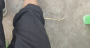 班尼路（Baleno）休闲裤男春秋季长裤男士简约潮流直筒裤青少年显瘦百搭宽松裤子男 实拍图