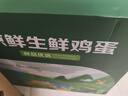 京鲜生 无抗保洁鲜鸡蛋30枚/盒 健康轻食 礼盒送礼 1.5kg/盒 源头直发 实拍图