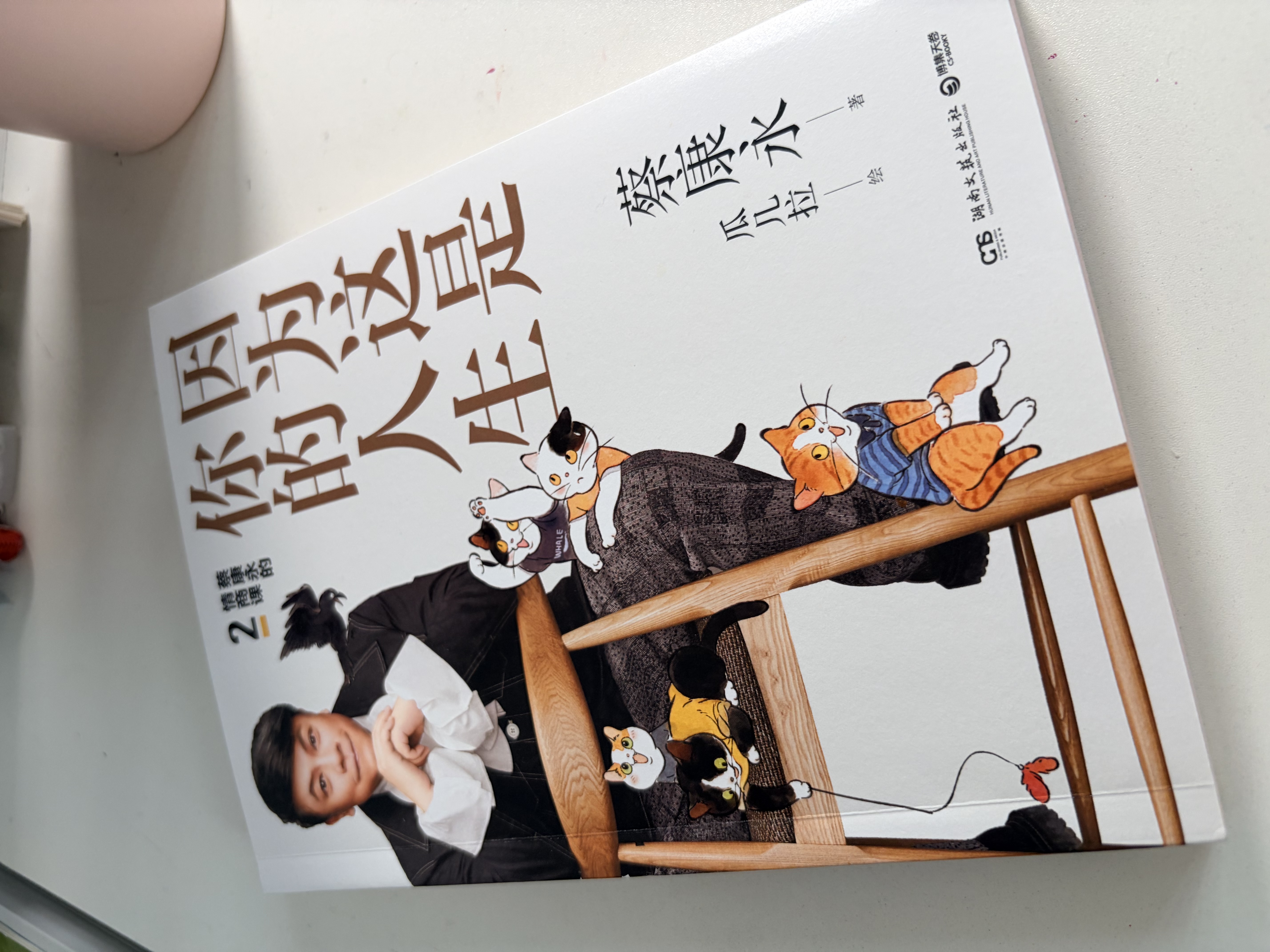 蔡康永的高情商套装图书：因为这是你的人生+为你自己活一次（套装共2册） 实拍图
