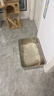 pidan猫砂 纯豆腐猫砂2.4kg*4包强力吸臭不易带出 可冲厕所非膨润土砂 实拍图
