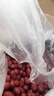 枣致富新疆特产灰枣免洗皮薄肉厚锁水保鲜红枣大枣礼盒2.5kg*1箱装 实拍图