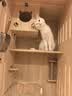 腆宠猫笼猫窝实木猫别墅大号猫咪笼子猫柜猫笼子家用室内猫舍猫屋猫房 实拍图