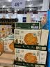 松下（Panasonic）【焕新补贴】电压力锅4-5人多功能一体电高压锅电饭煲家用电饭锅防爆一键排气4升大容量NF-PC401-K 4L 【70Kpa高压 | 800W】PC401 实拍图