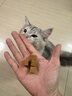 红狗猫用维生素软颗粒6g尝鲜装猫咪维生素猫用维生素宠物猫藓8合1配方 实拍图