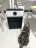 UORRIS德国欧瑞氏宠物空气净化器 猫毛吸尘器 猫用宠物毛发去浮毛家用净化除臭氨气除过敏源杀菌净化消毒 清新白【全屋吸浮毛丨除过敏杀菌丨去氨气除异味】 【养宠专用】APP远程互联 实拍图