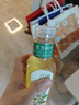 农夫山泉【新口味】东方树叶陈皮白茶500ml*15瓶无糖茶饮料0糖0脂0卡 实拍图