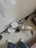霍曼（Homerun）Real智能自动喂食器猫粮狗粮定时猫咪自动投食机 不锈钢碗喂食器+三代饮水机+滤芯 实拍图
