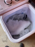 小鸭【官方店】半自动洗衣机迷你小型波轮大容量租房宿舍家用双桶双缸分区脱水甩干老式强力去污 18.5KG  洗12+脱6.5+强劲电机终生联保 双缸 实拍图